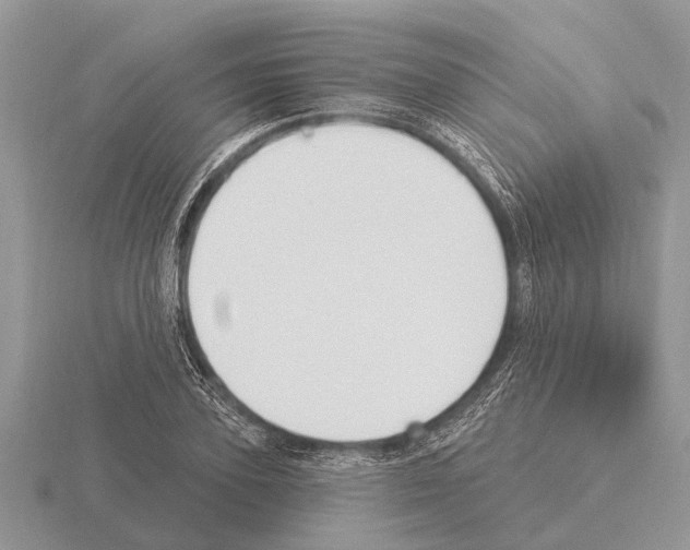 X0000115290931200912141052