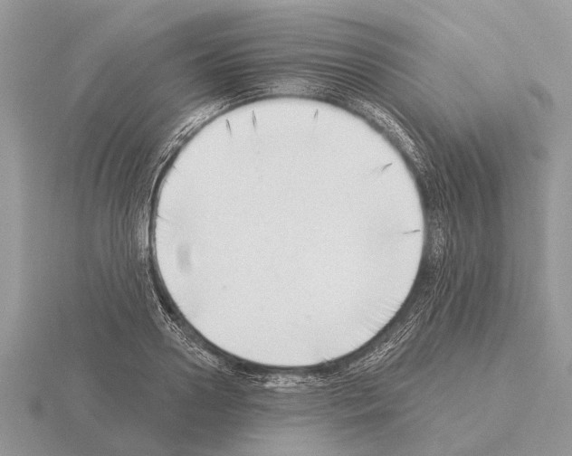 X0000115290938200912141052