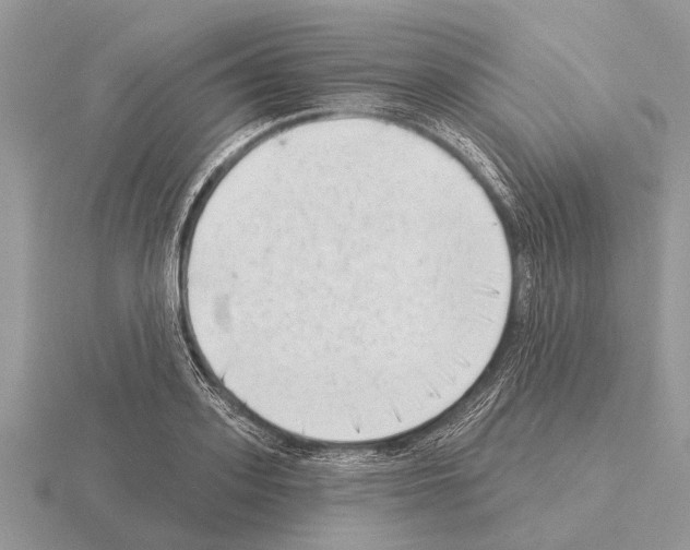 X0000115290939200912141052