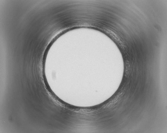 X0000115290942200912141053