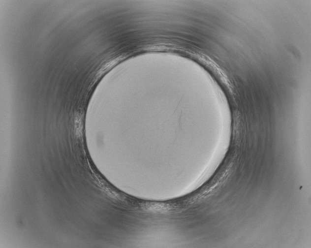 X0000115290945200912141053