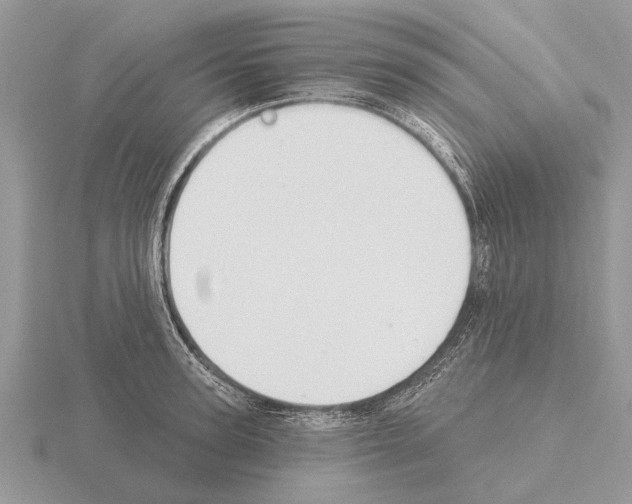 X0000115290947200912141053