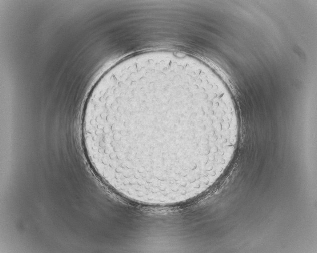 X0000115290949200912141053