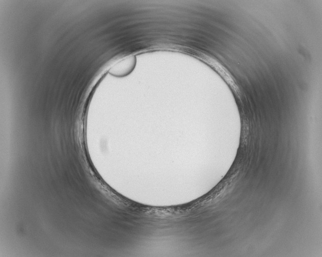 X0000115290955200912141053