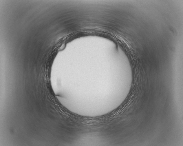 X0000115290965200912141052