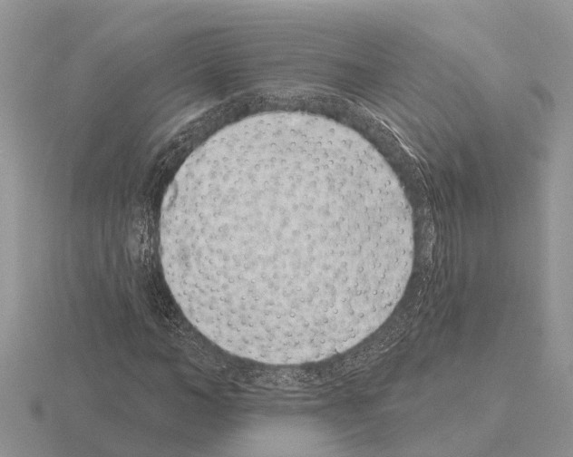 X0000115290966200912141052