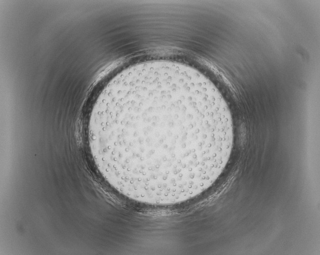 X0000115290970200912141052