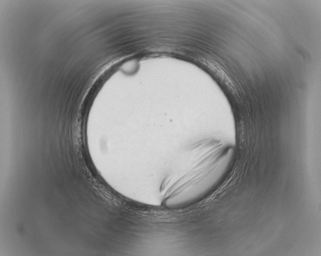 X0000115290976200912141052