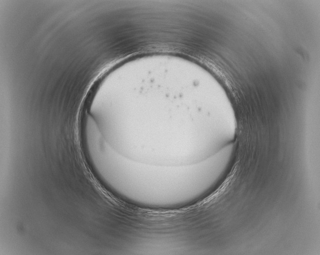 X0000115290981200912141052