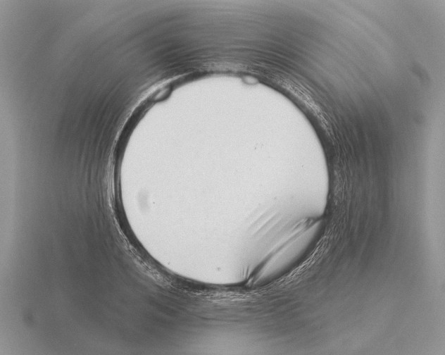 X0000115290984200912141052