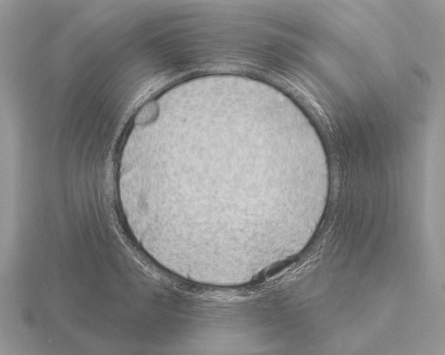 X0000115290990200912141052