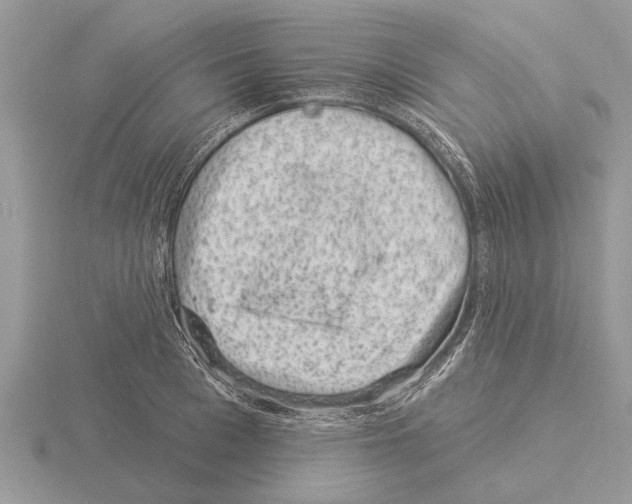 X0000115290993200912141052