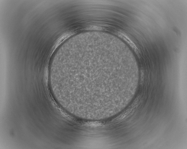 X0000115290994200912141052