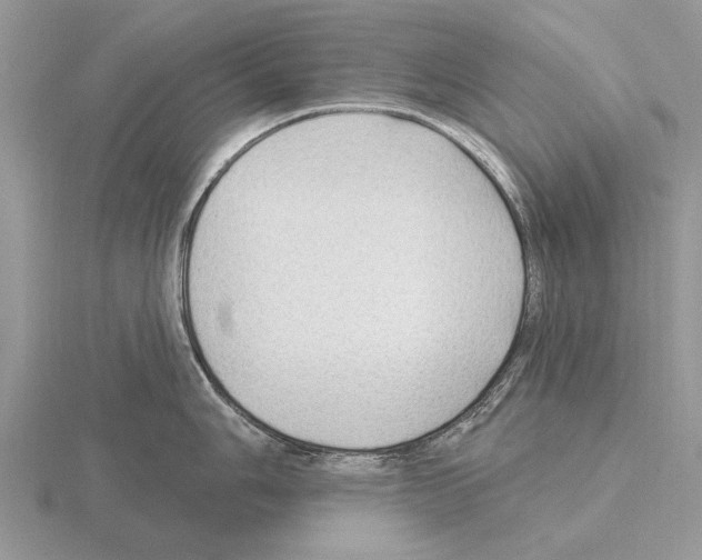 X0000115291006200912141052