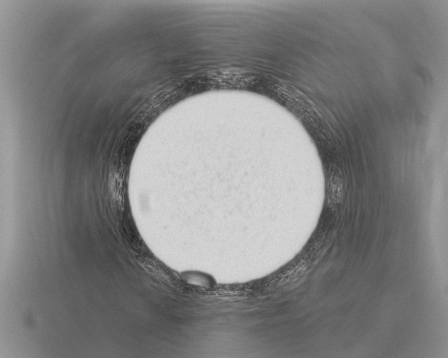 X0000115291010200912141051