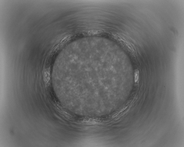 X0000115291011200912141051