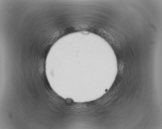 X0000115291012200912141051
