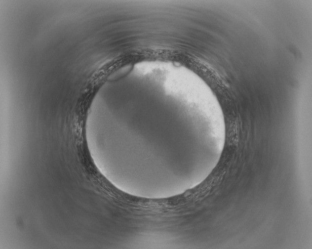X0000115291013200912141051