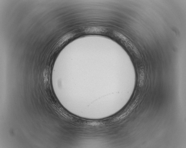 X0000115291017200912141051