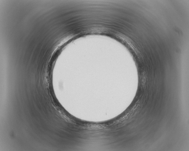 X0000115291018200912141051