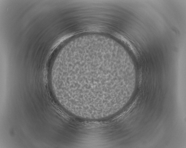 X0000115291019200912141051