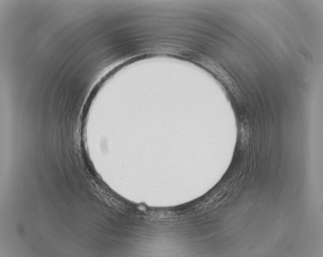 X0000115291020200912141051