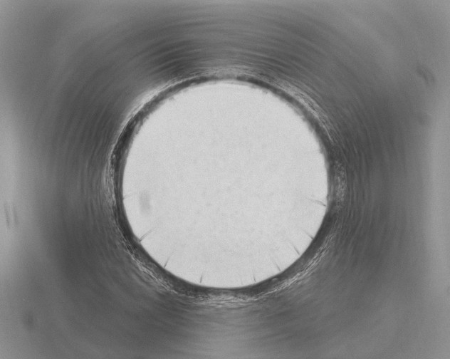 X0000115291022200912141051