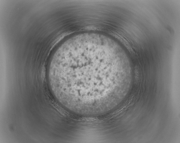 X0000115291023200912141051