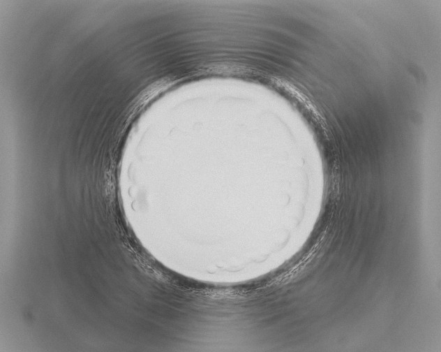 X0000115291025200912141051