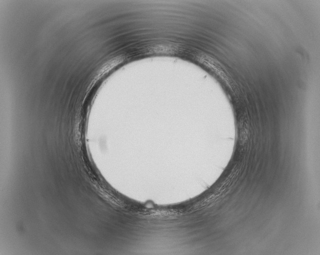 X0000115291026200912141051