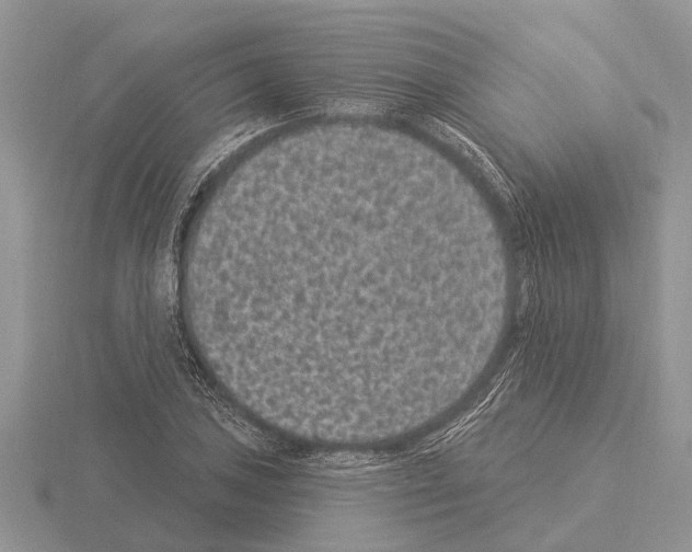 X0000115291027200912141051