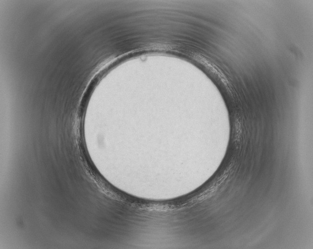 X0000115291029200912141051