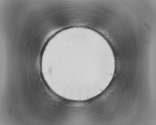 X0000115291030200912141051