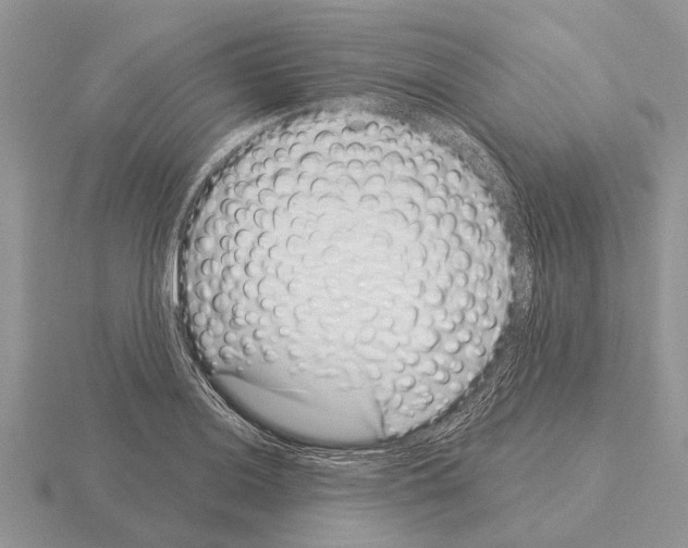 X0000115291036200912141051