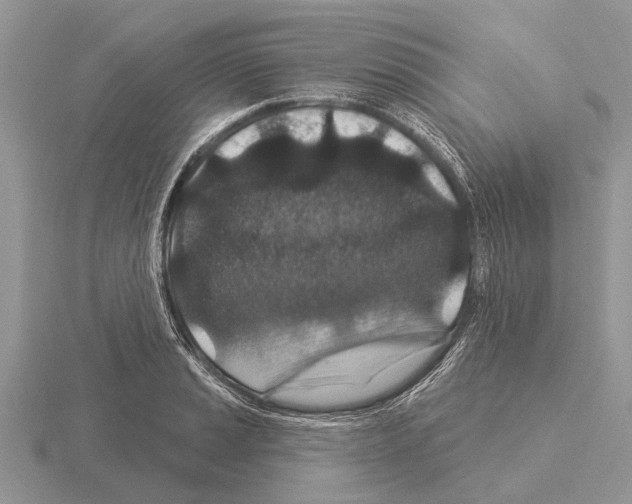 X0000115291037200912141051