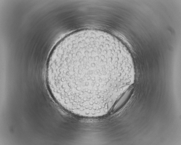X0000115291040200912141051