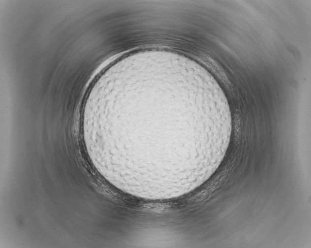 X0000115291044200912141051