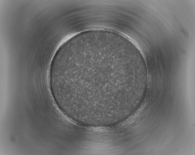 X0000115291045200912141051