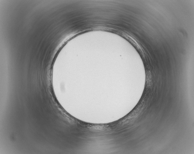 X0000115291048200912141051