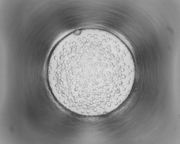 X0000115291053200912141051