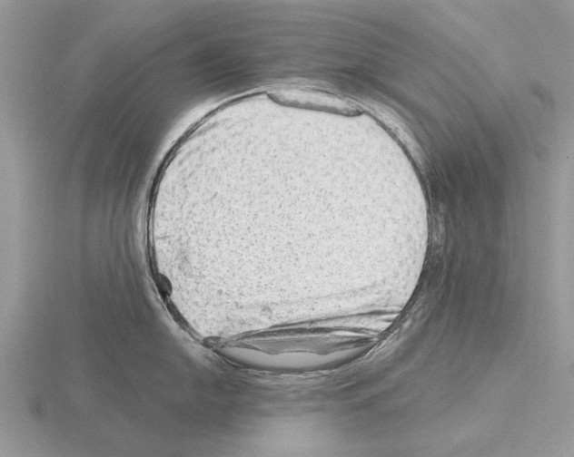 X0000115291054200912141052