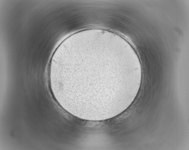 X0000115291056200912141052