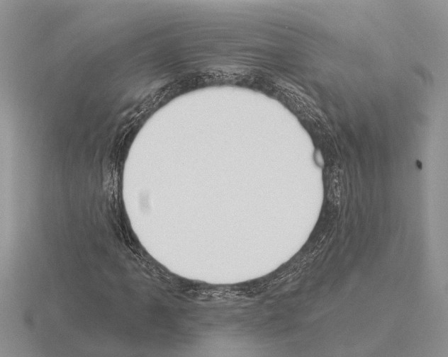 X0000115291061200912141051