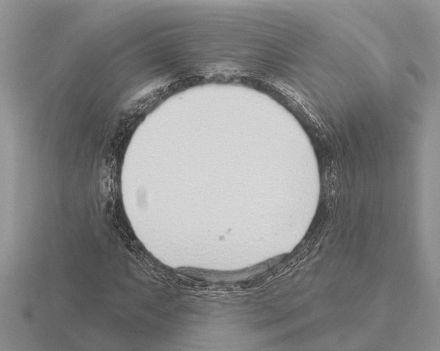 X0000115291063200912141051