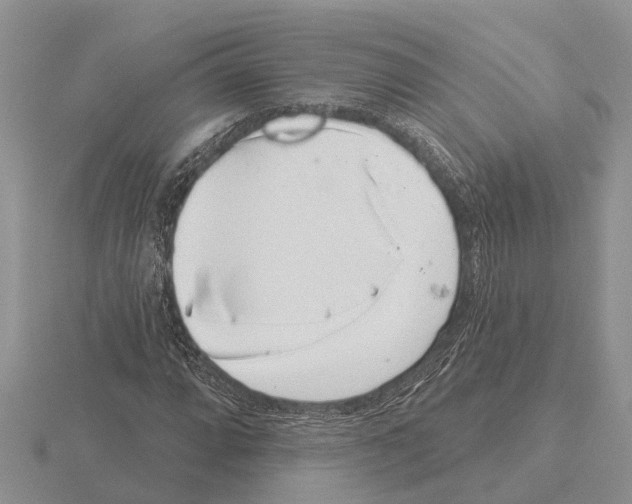 X0000115291064200912141051