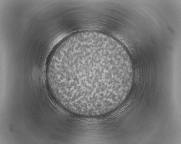 X0000115291071200912141051