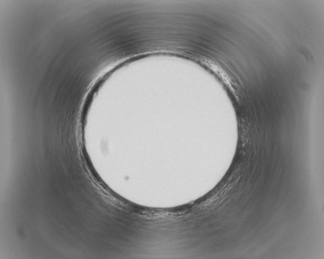 X0000115291072200912141051