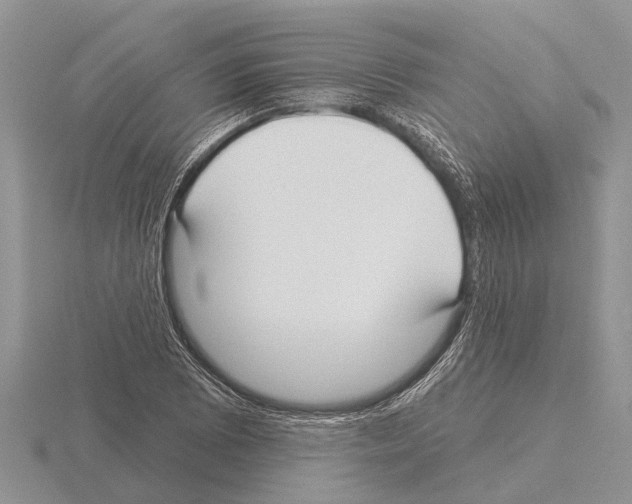 X0000115291073200912141051