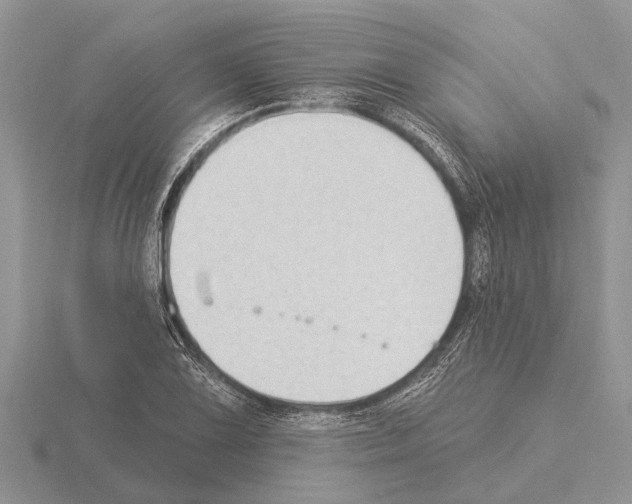 X0000115291075200912141051
