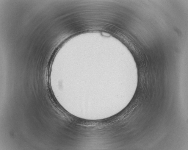 X0000115291076200912141051